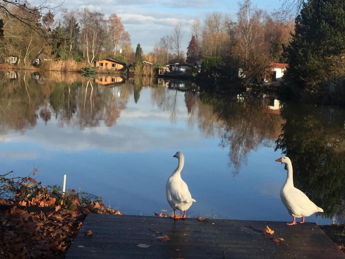 Vakantiehuisje De Waterhoek Geel Eksteriør bilde