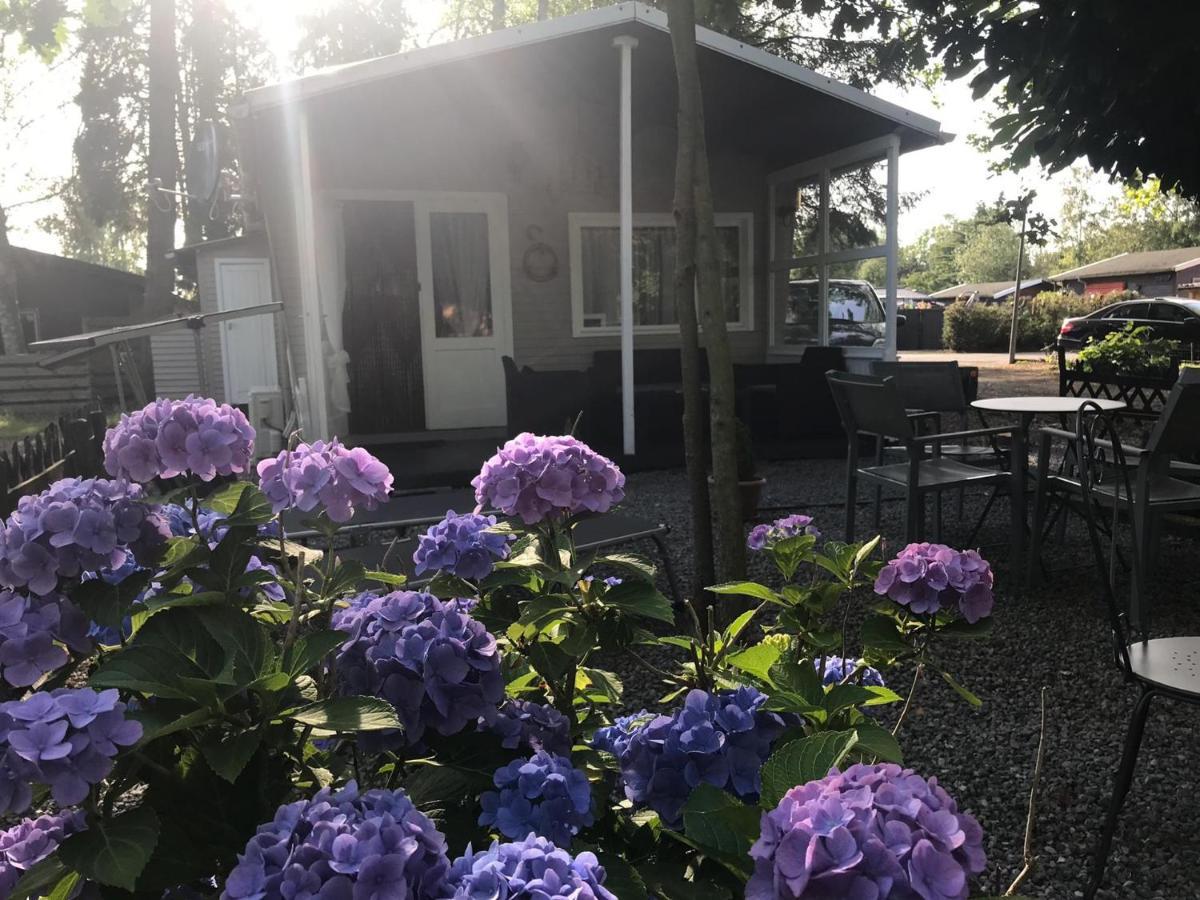 Vakantiehuisje De Waterhoek Geel Eksteriør bilde