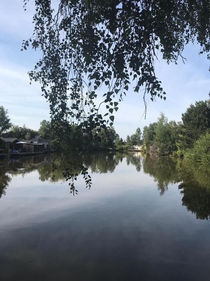 Vakantiehuisje De Waterhoek Geel Eksteriør bilde